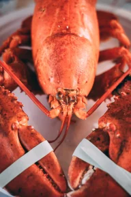 Lobsters and trade relations – By A. Trifyllis