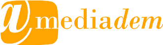 Third MEDIADEM policy brief