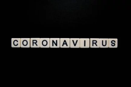 In focus – Unemployment and Covid-19: Is the Eurozone more resilient than the US?