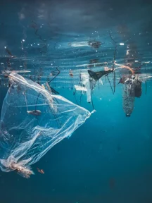 Plastic Pollution in Seas and Oceans: Challenges and Responses